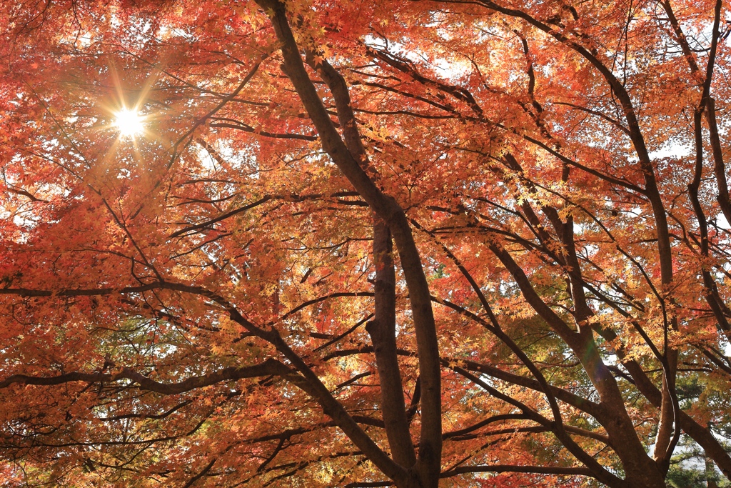 鳳来寺山にて