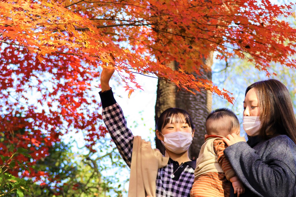 紅葉と家族