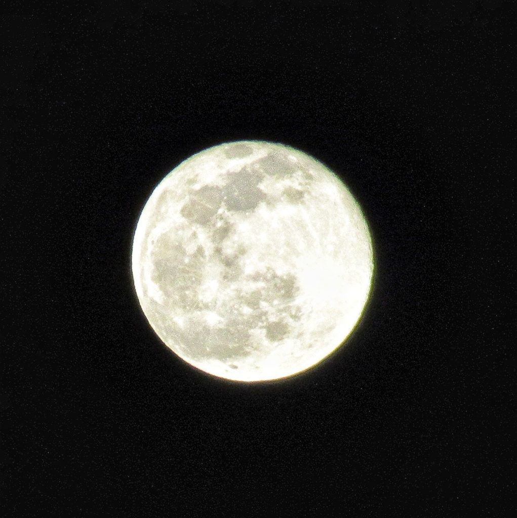 20210129210310_IMG_2090-01-02