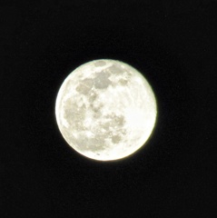 20210129210310_IMG_2090-01-02