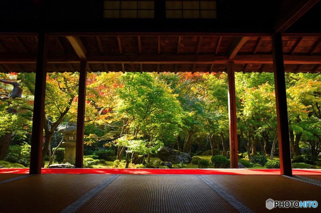 enkoji