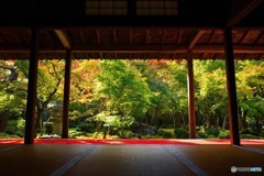enkoji