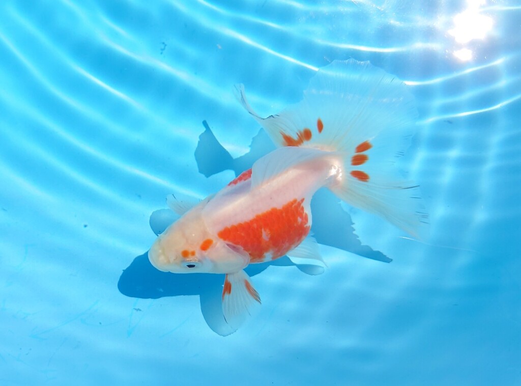 2023_02オス (16)