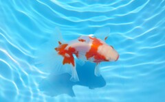 2023_04オス (50)