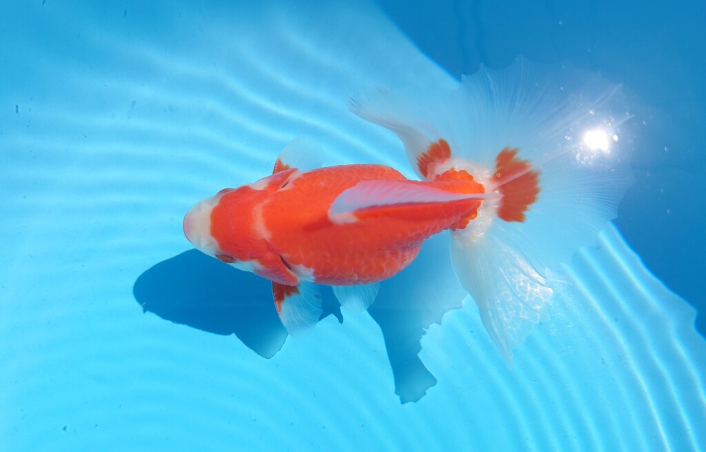 2023_03オス (9)