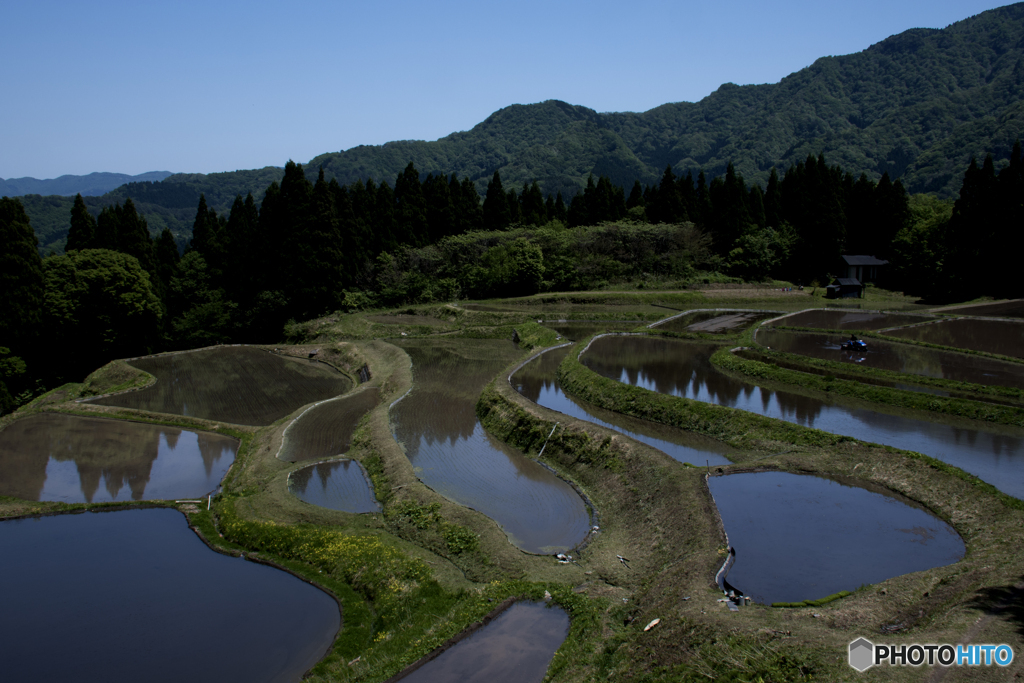 棚田（うへ山）