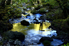 Golden color
