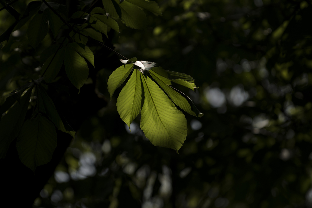 スポットライト 2