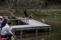 ソ－シャル　ディスタンス