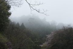 小雨に煙る