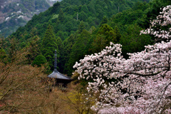 春の高源寺