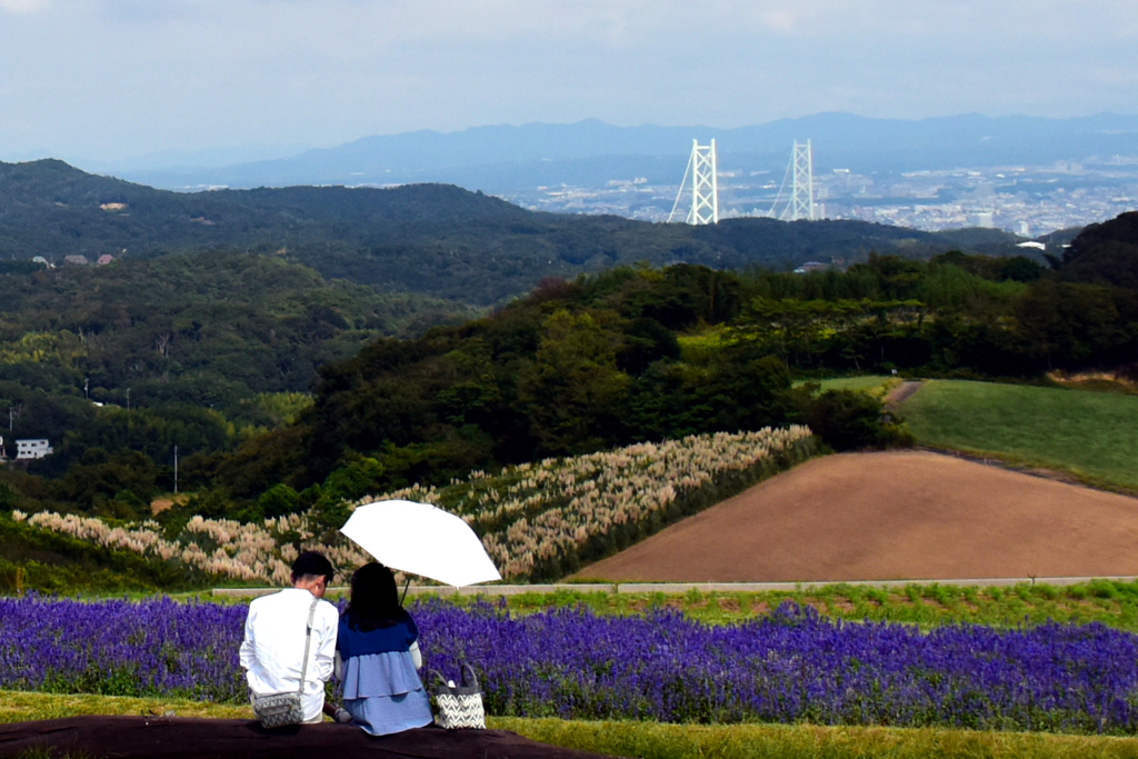 日傘