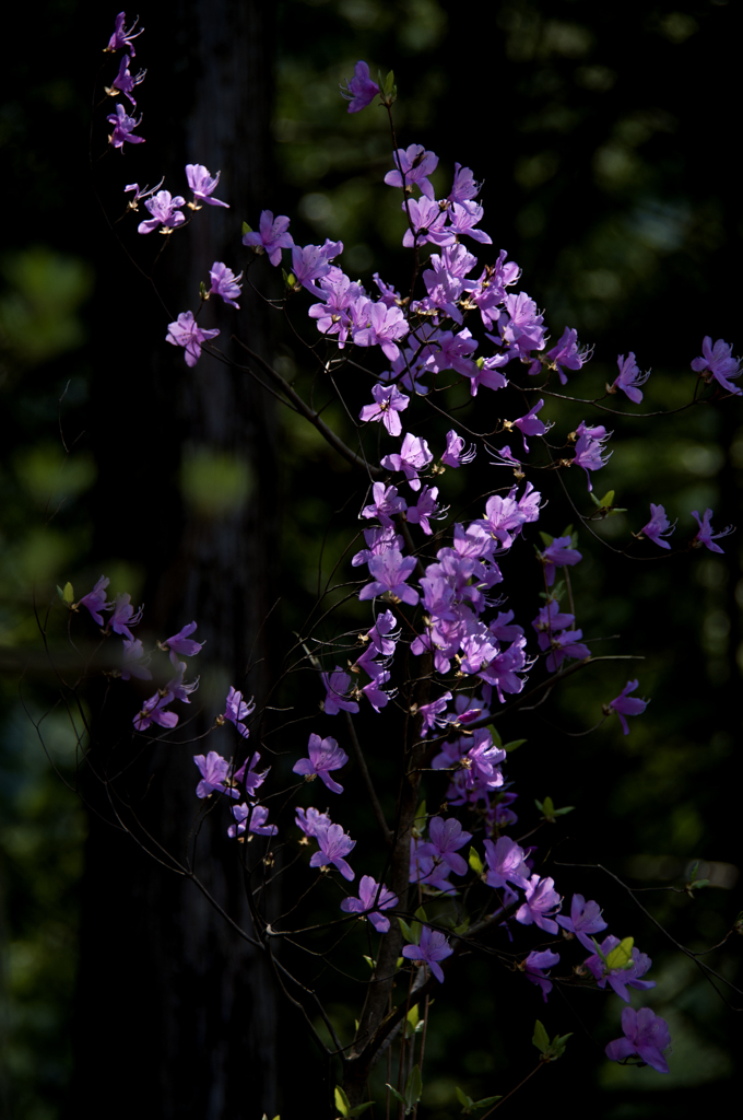 スポットライト 1