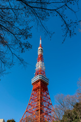 東京タワー
