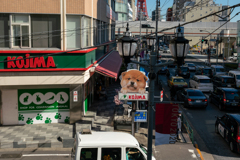 roppongi5