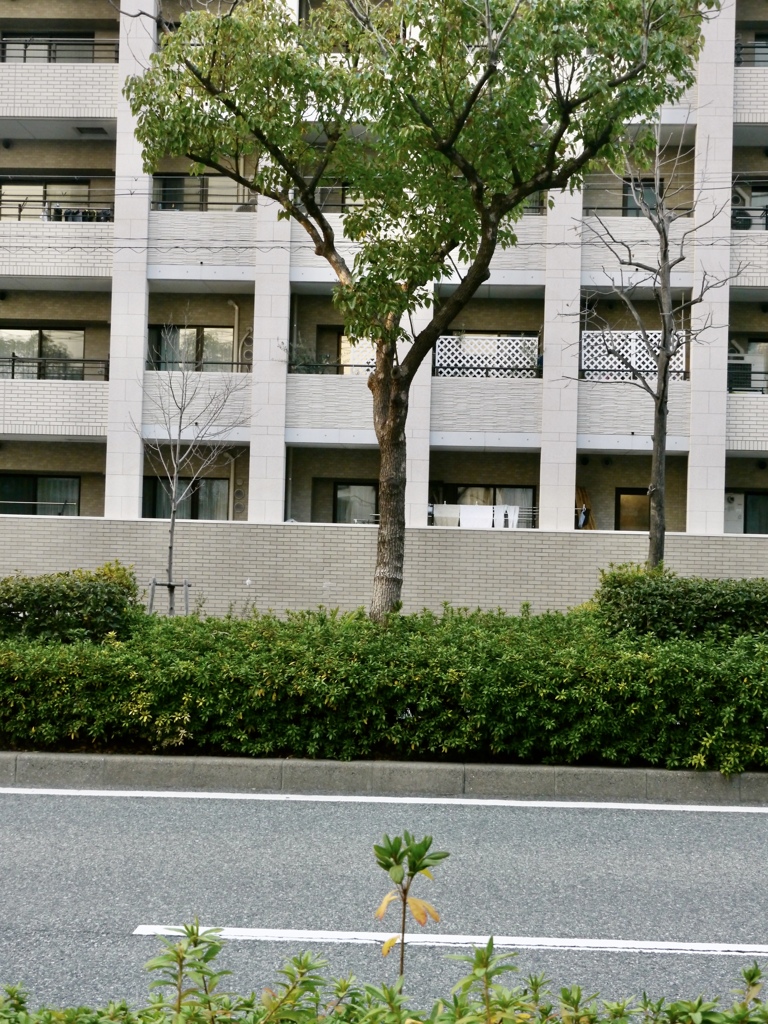 相似形