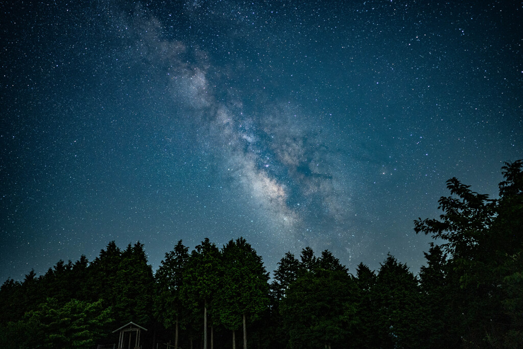 夏の天の川