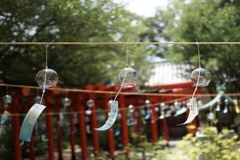ちりちりーん　風鈴の音　が美しい鈴の宮神社