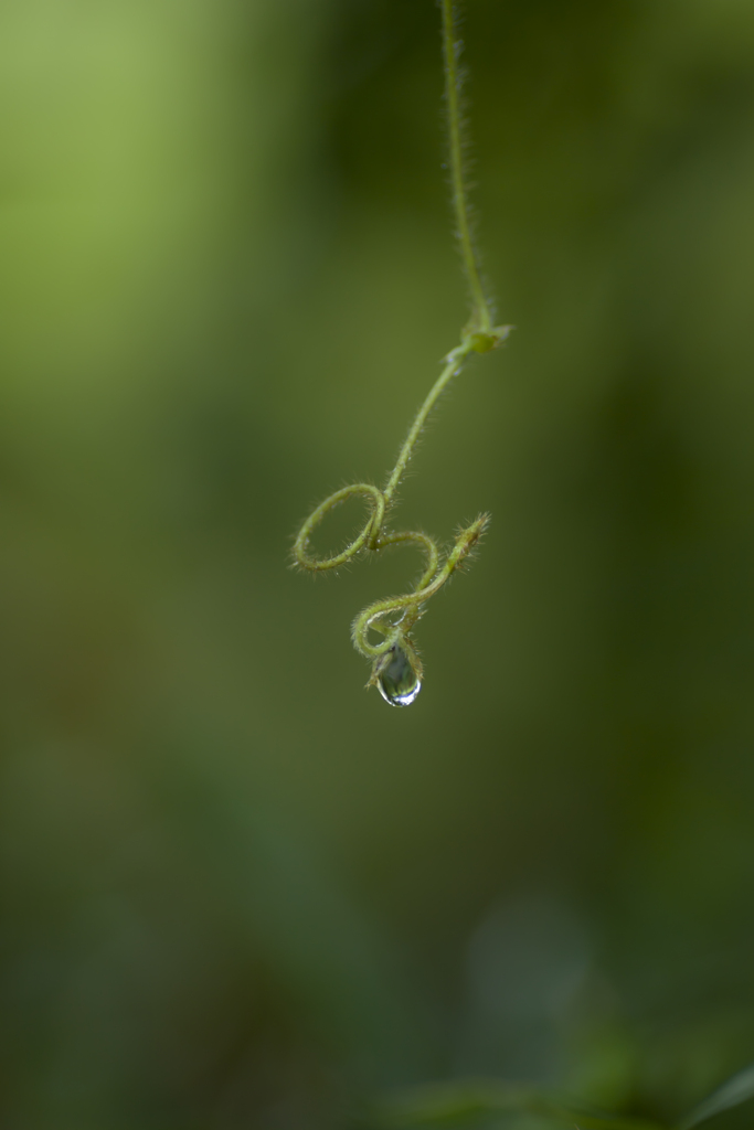 雨の日写真