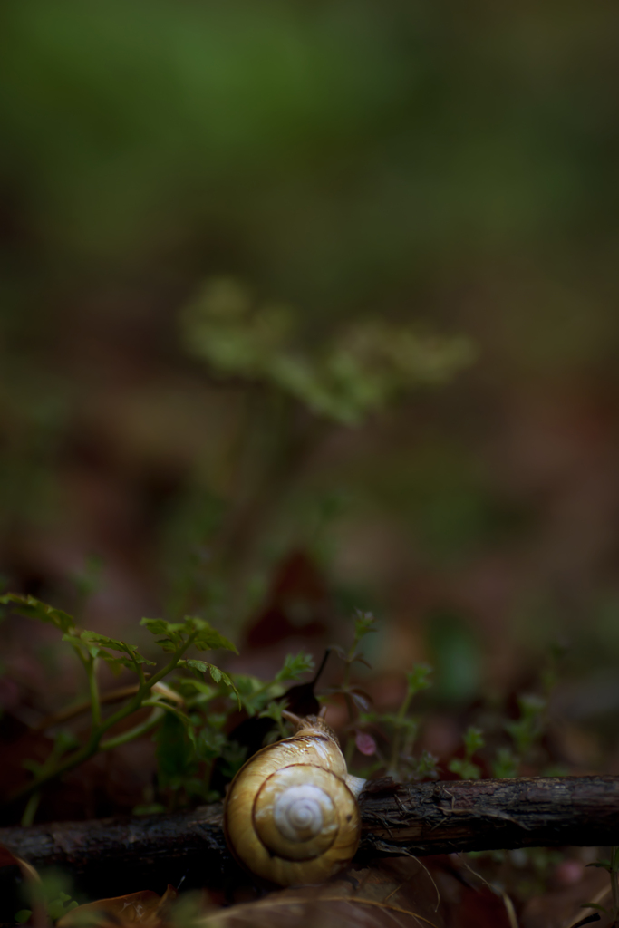 雨の日写真