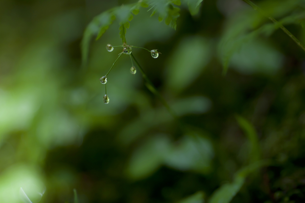 雨の日写真