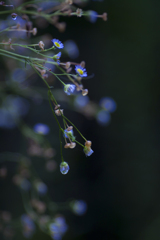 雨の日写真