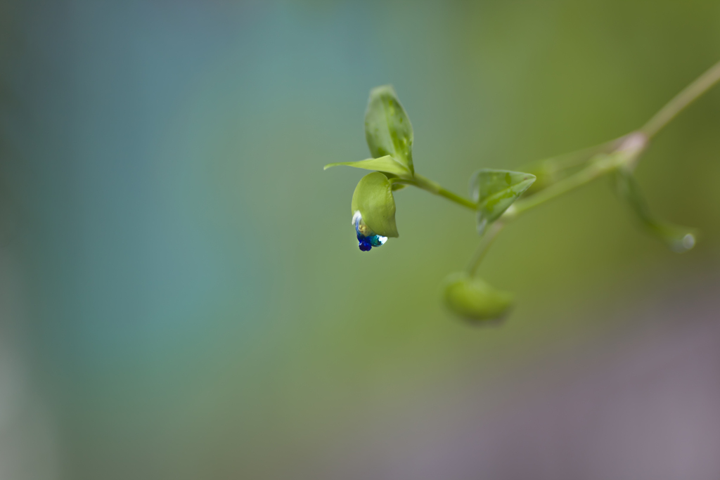 雨の日写真