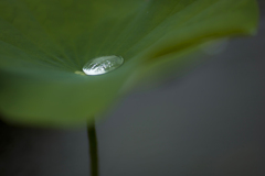 雨の日写真