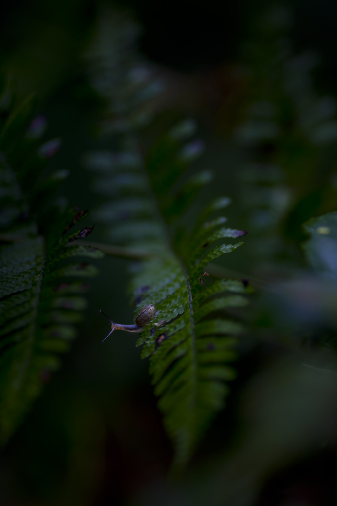 雨の日写真