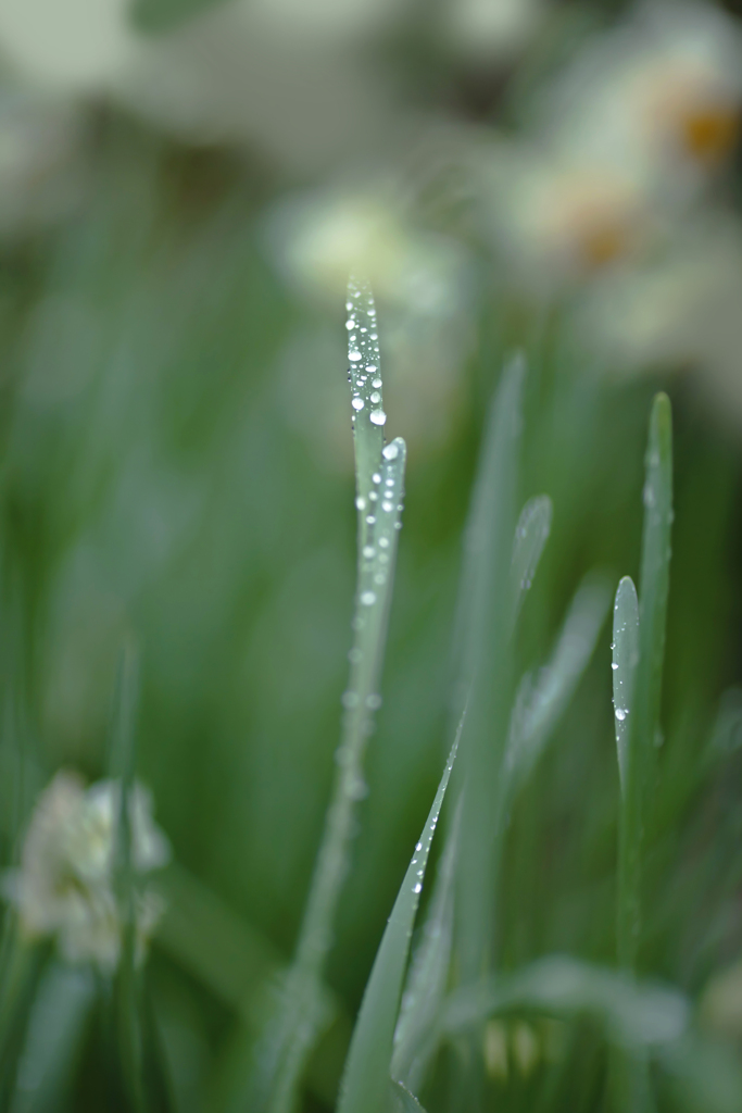 雨の日写真