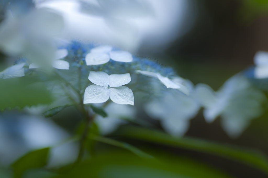 雨の日写真