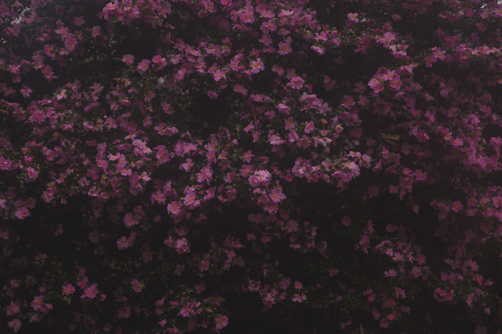 雨の日写真