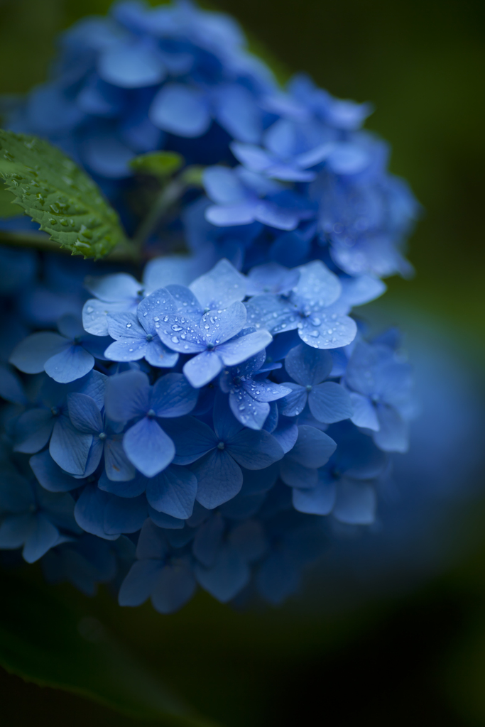 雨の日写真