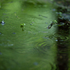 雨の日写真