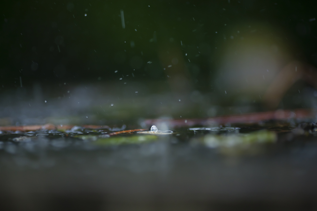 雨の日写真