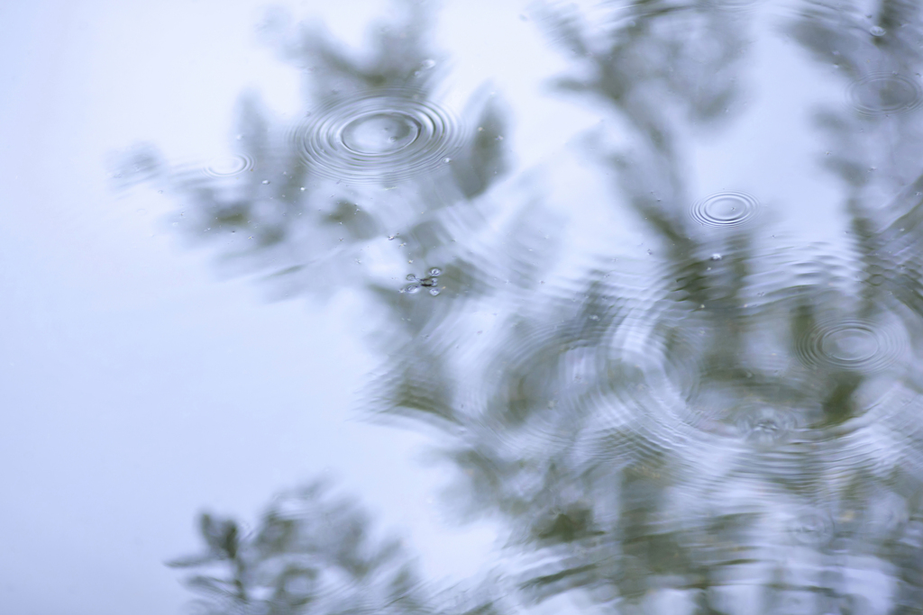 雨の日写真