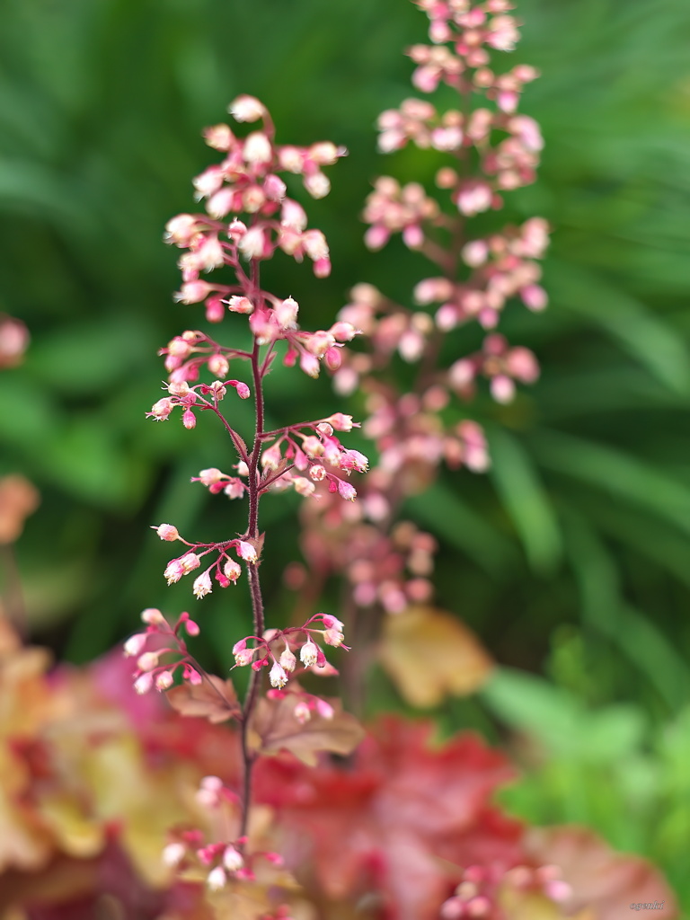 花簪の様