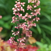 花簪の様