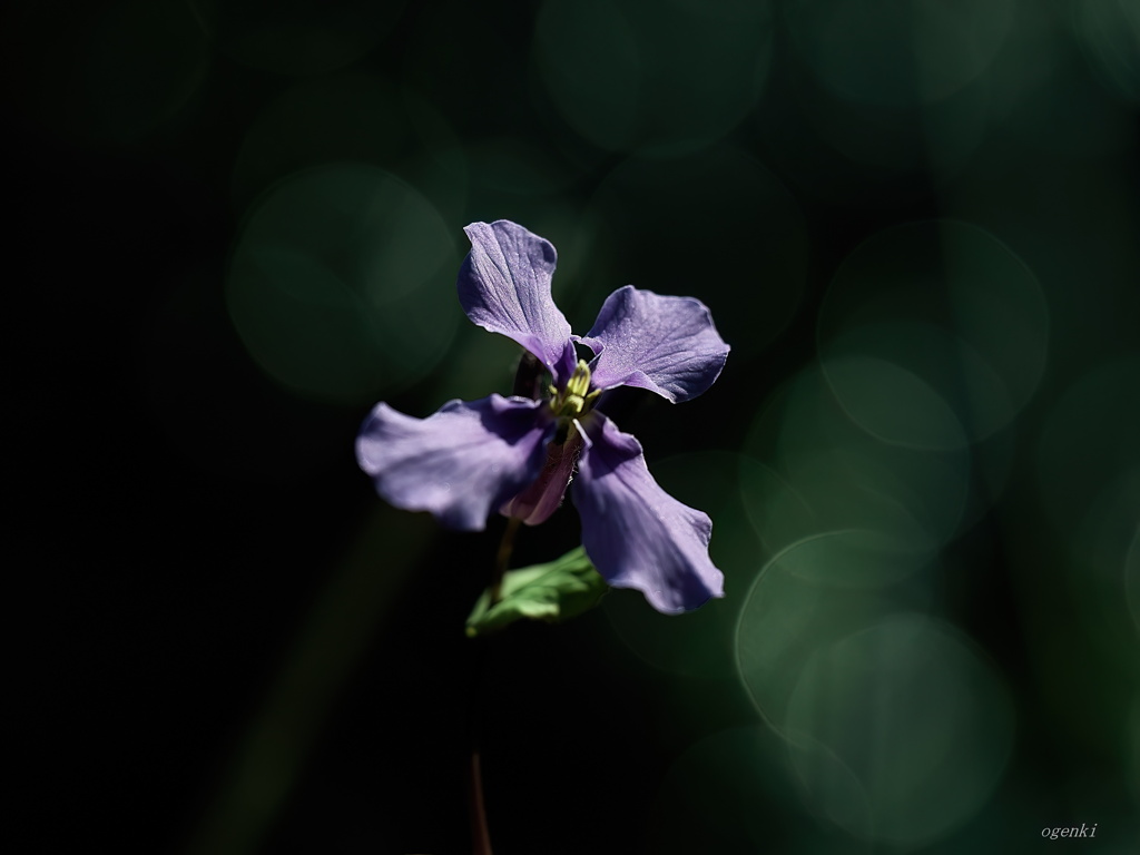 華化粧