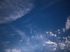 待ち遠しい秋の空