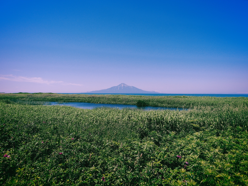 利尻富士を望む②