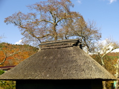 茅葺屋根の風景