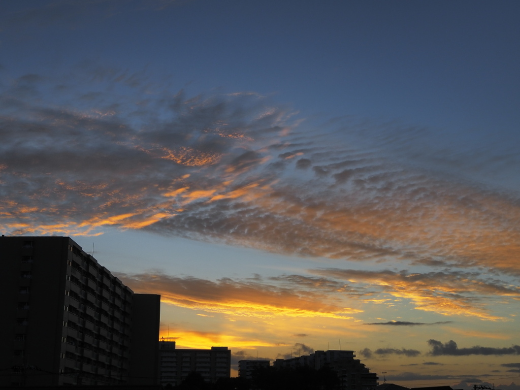 朝が来た