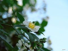 5月3日の朝