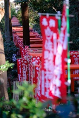 鳥居路