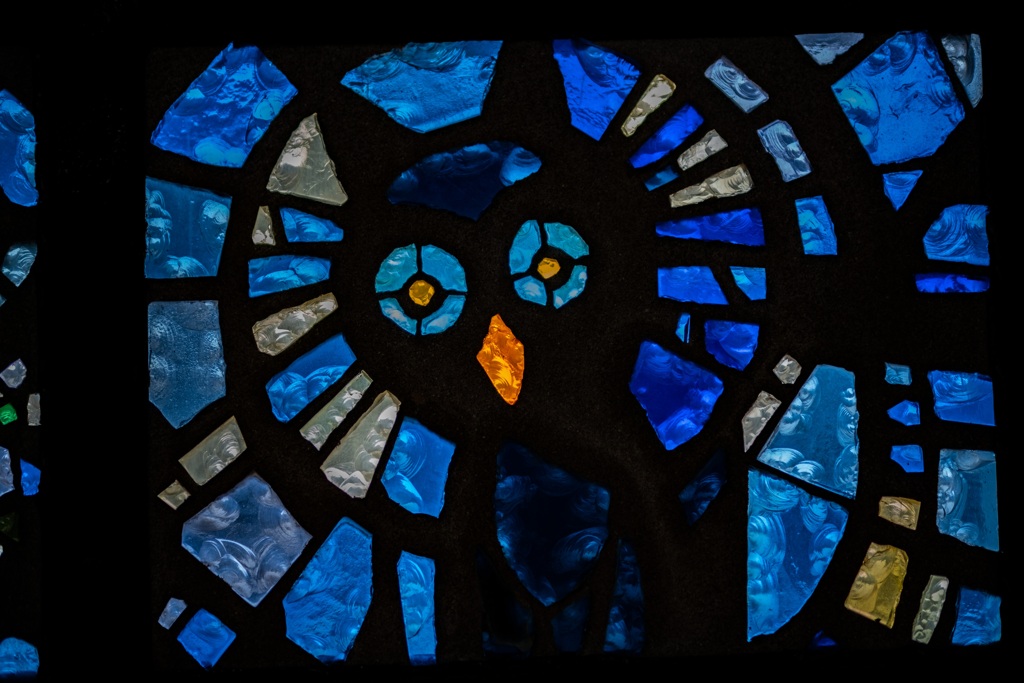 Blue Owl