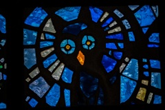 Blue Owl