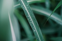 水滴