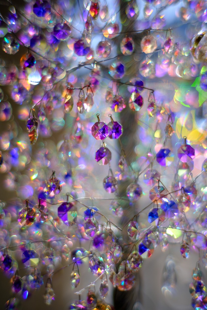 Glas Forest