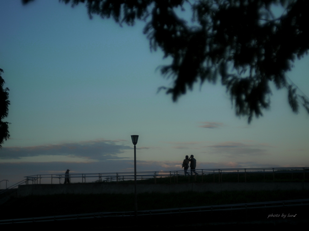 夕暮れ散歩道